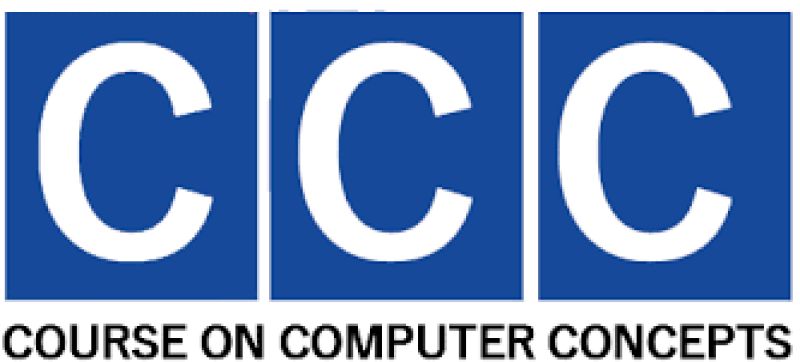 CERTIFICATE IN COMPUTER CONCEPTS ( B-302 )