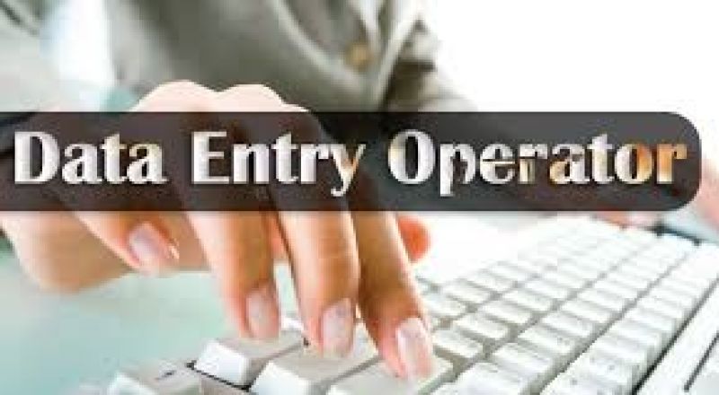 CERTIFICATE IN DATA ENTRY OPERATOR ( B-305 )